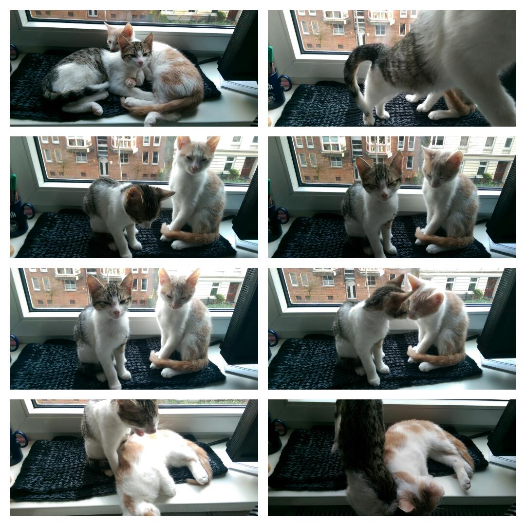 2015-02-02_15.22.56.jpg image