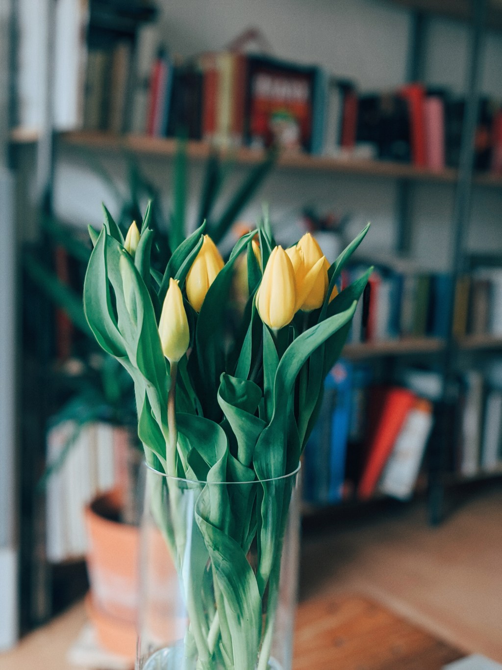 Weltfrauentag und Frust